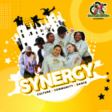 SYNERGY TP 044737